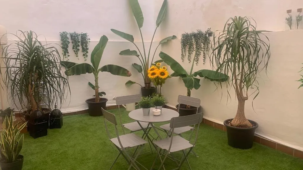 Maclea Home Málaga